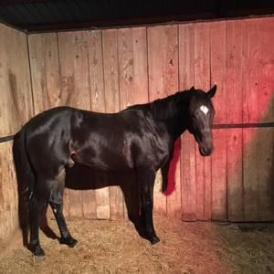 Meet your Posher, Mark